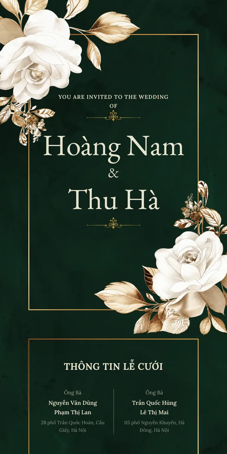 Hoa Hồng Trắng