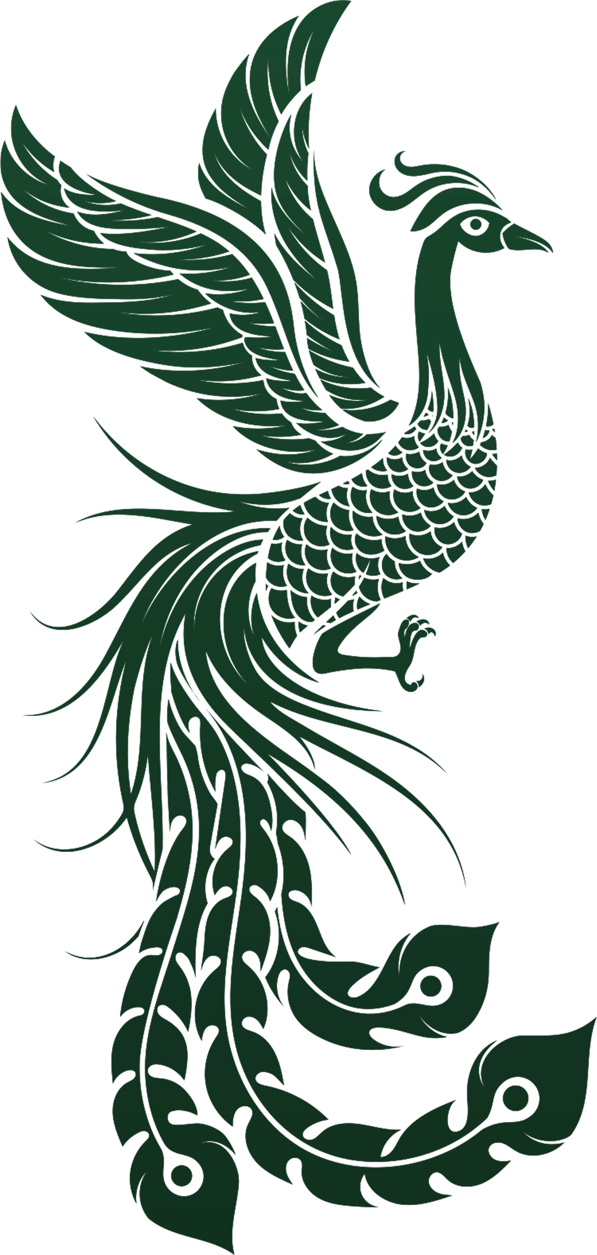 Phoenix Right